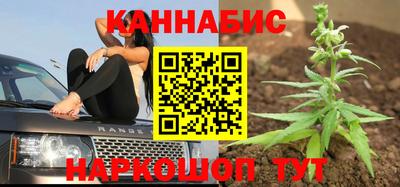 стаф Белореченск