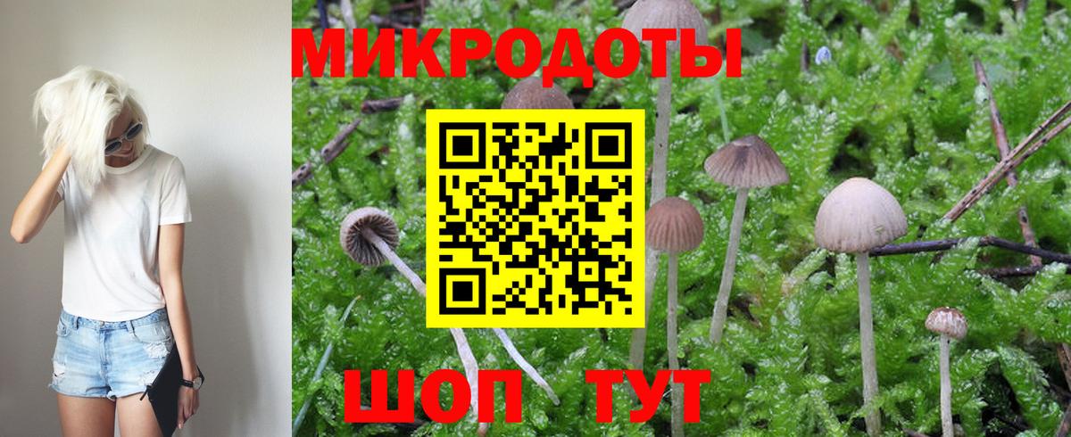 Архангельск  Галлюциногенные грибы Cubensis  Вход с VPN  Псилоцибиновые грибы Psilocybe 